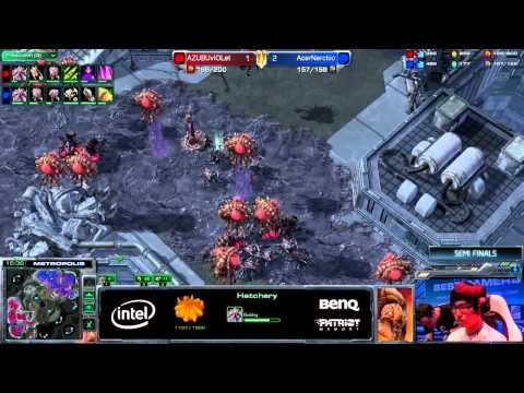 Nerchio (Z) vs viOLet (Z) G4 IEM GamesCom Day 5 Semifinals