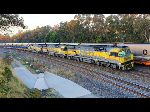 Diesel Locomotives, Early Morning. Newcastle, Australia. Qube, PN, Aurizon, One Rail.