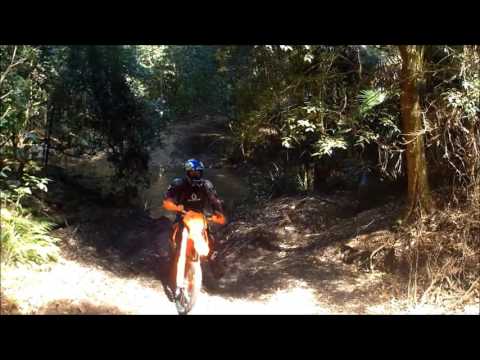 myall river state forest ride (wild hogs).