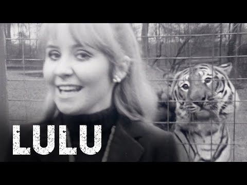 Lulu - I’m A Tiger (Musik für junge Leute, 14.12.1968)