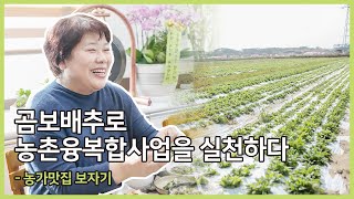 배암차즈기(곰보배추)🥬로 농가맛집부터 온라인 판매까지! 👩‍🍳농가맛집 '보자기'