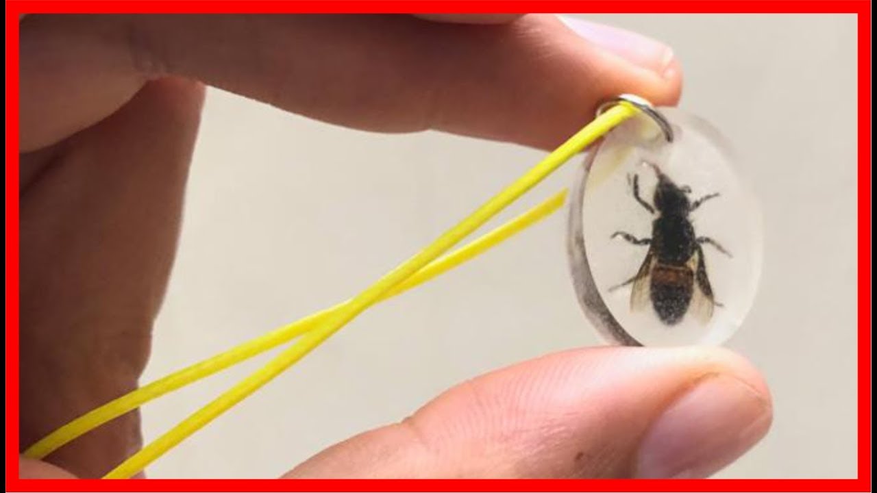 Como encapsular un INSECTO en RESINA EPOXI 🐝