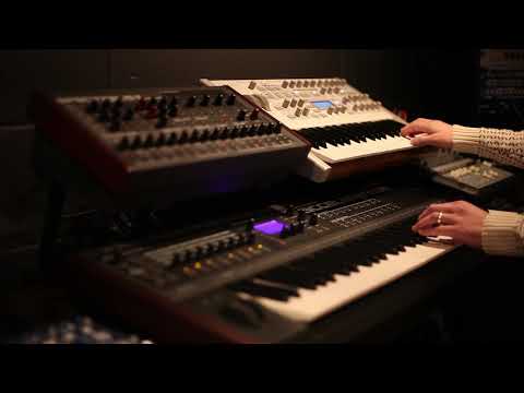 MIDERA | Fjords of evermore (Track 1 of Nosutarujia)