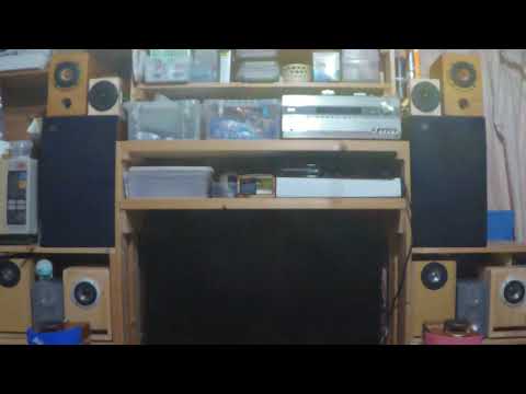 Wada Sunao Coco's Blues　COCO'Ｓ BLUES