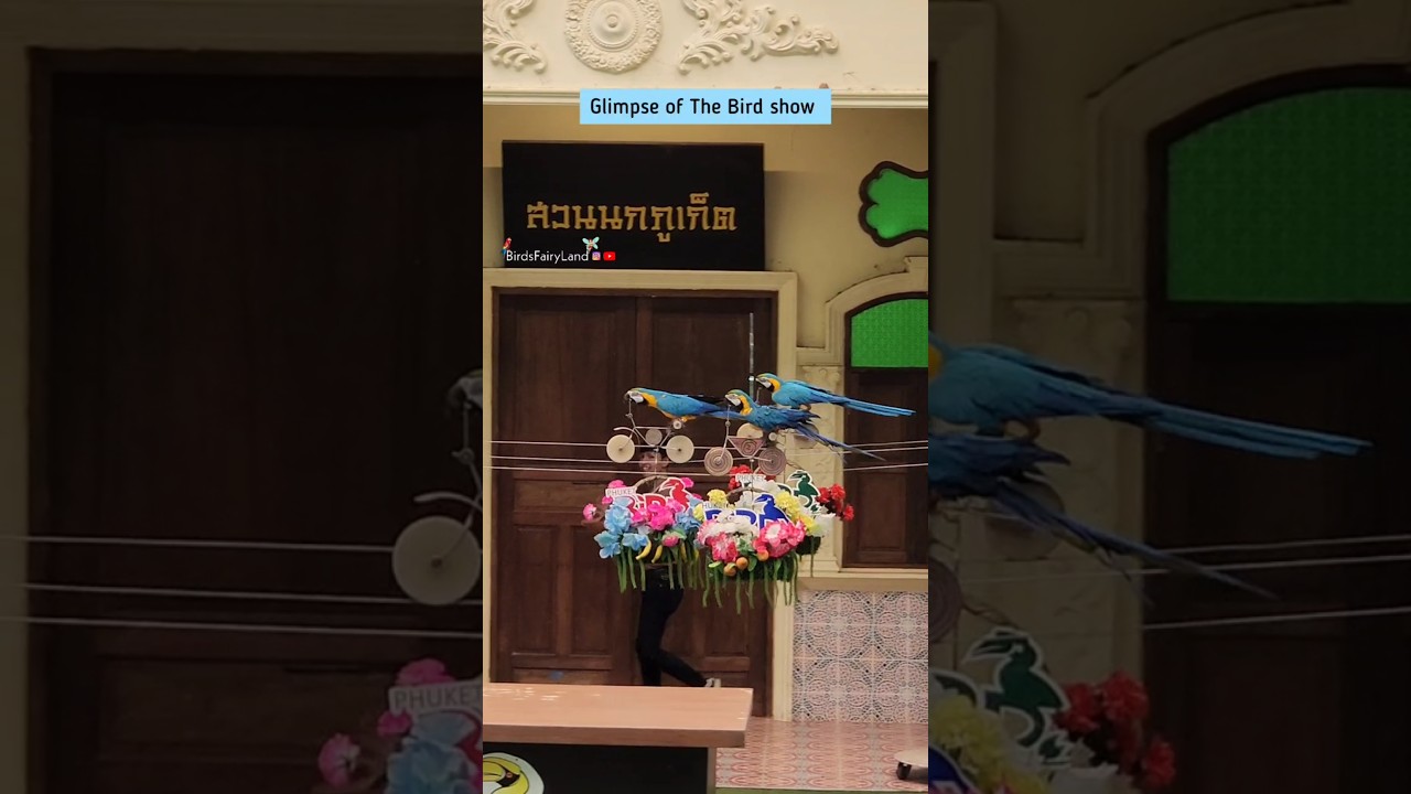 YouTube Short thumbnail