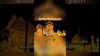 Download lagu Al Qolbu Mutayyam mp3