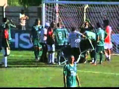 mm-shecxgoias21021.flv