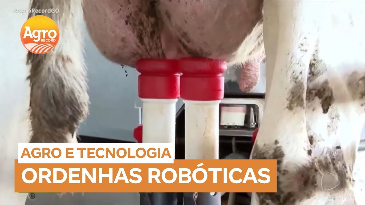 Ферма в Бразилии внедрила голландскую роботизированную систему доения 