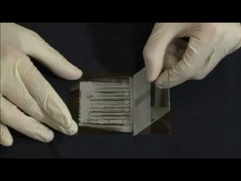 New conductive ink for electronic apparel