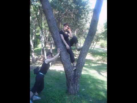 Hayki feat baskan bas gaza