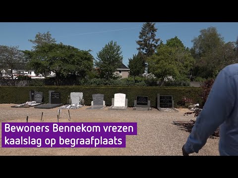 Bewoners Bennekom vrezen kaalslag op begraafplaats