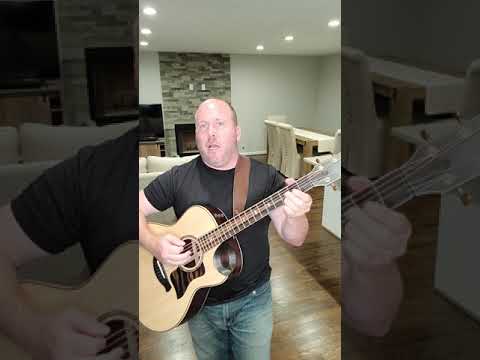 Believe it or not - Joey Scarbury