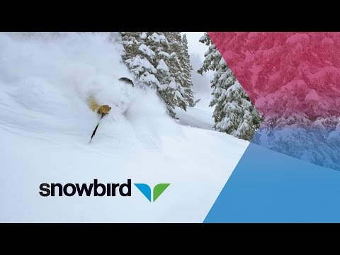 April 25th, 2017: 19” In 24 Hours… April 25th?!