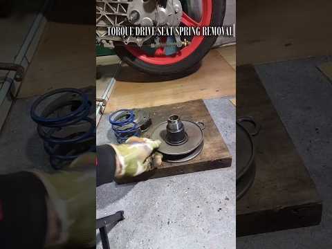 torque drive seat spring removal.  #shortvideo #automobile #tips101 #manualtesting