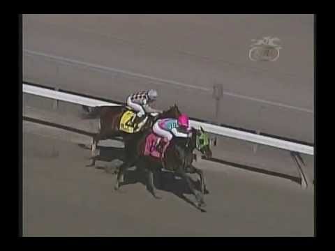2003 Wood Memorial Stakes - Empire Maker