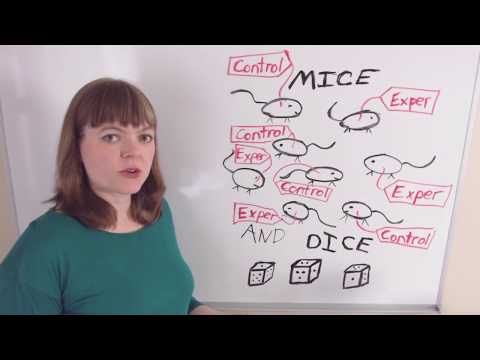 Identification Strategies, Part 1: How Economists Establish Causality