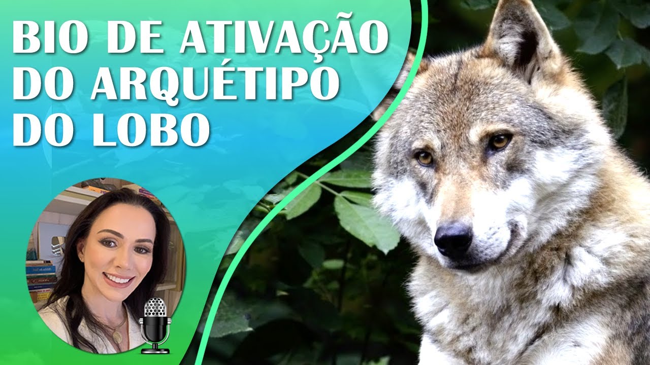 ARQUÉTIPO DO LOBO | Animal de Poder | Liderança , Bons Relacionamentos, Confiança e União | 639Hz