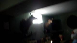 Bird in the Basement!