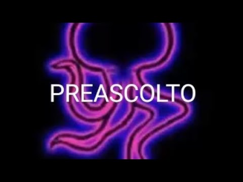 Lady Brian & Paolo Cecchetto - Preascolto Stargame 1