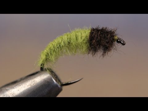 Caddis Larva Fly Tying Tutorial