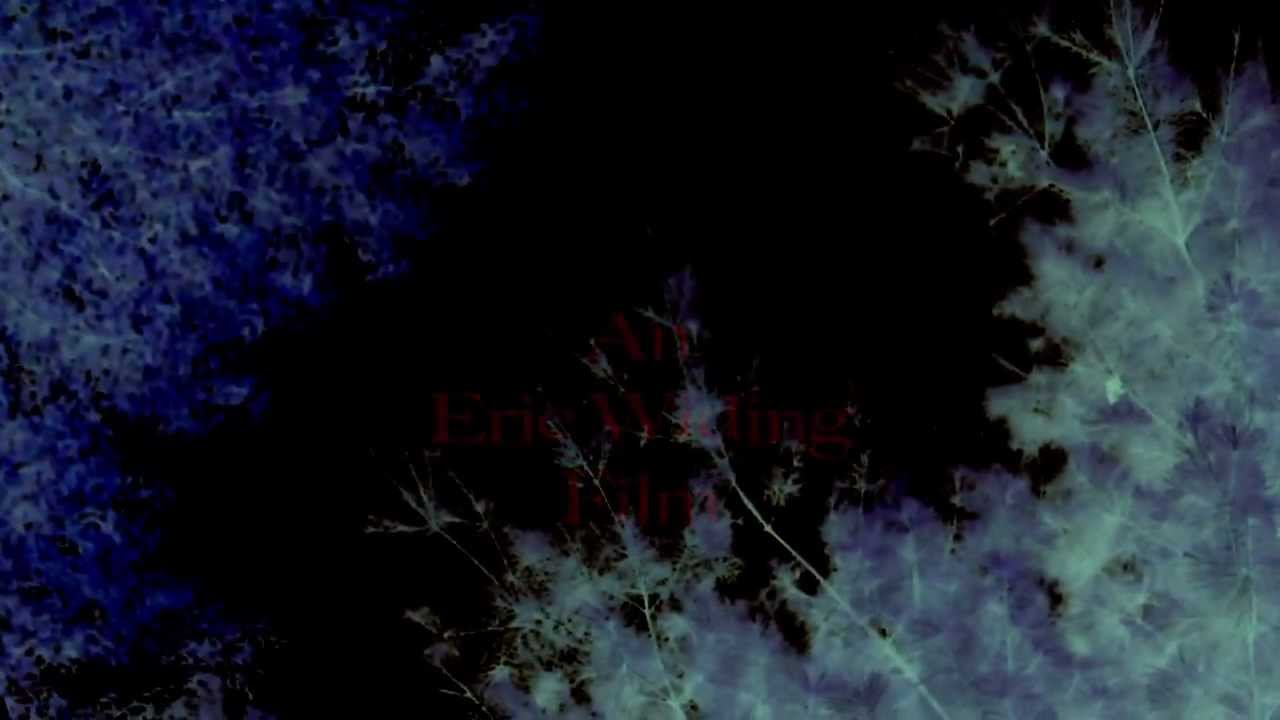 Hellhounds: Official Trailer