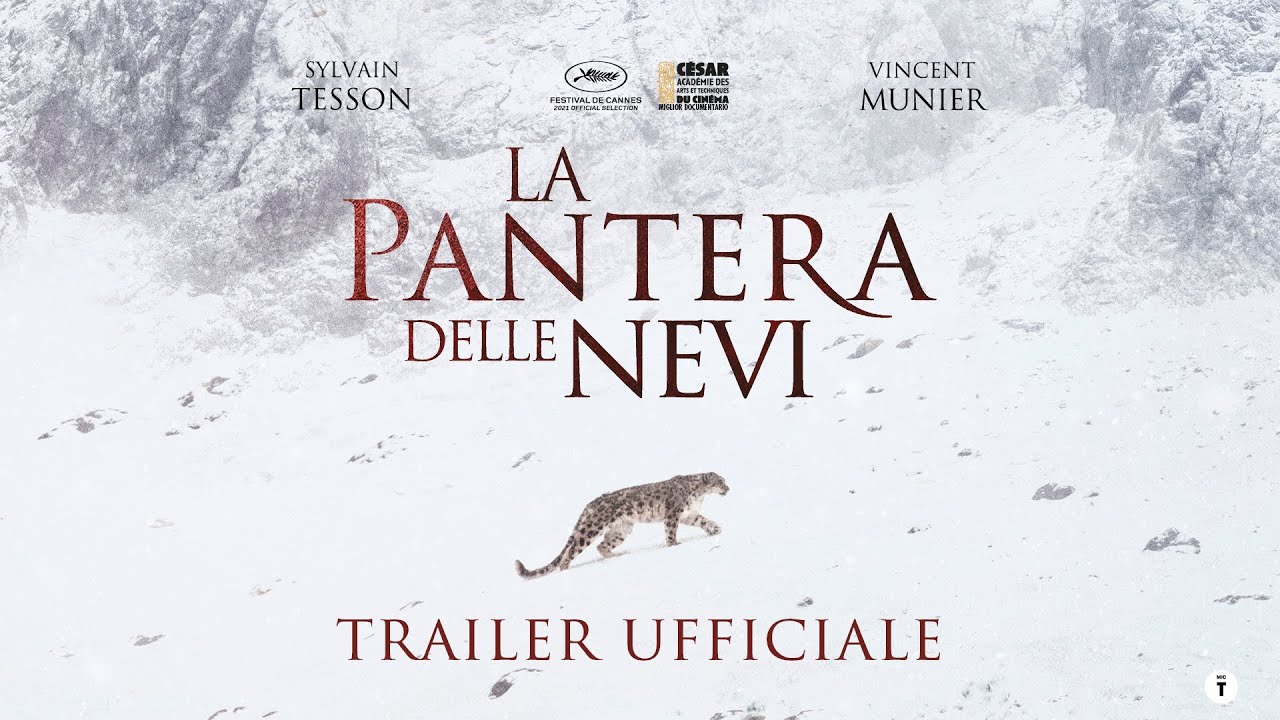 La Pantera delle Nevi - dal 20 ottobre al cinema | Trailer ITA