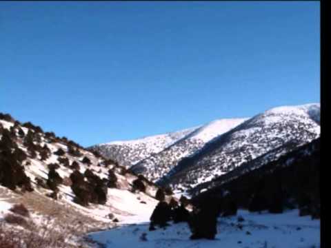 TURAN ENGIN-Gül Dalına Konmuş Bülbül Yavrusu -U.H