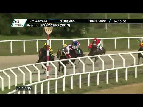 220418 c03 - RASHID (BRZ)  - HIPODROMO LAS PIEDRAS