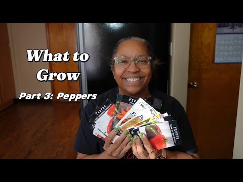 My Favorite Peppers to Grow