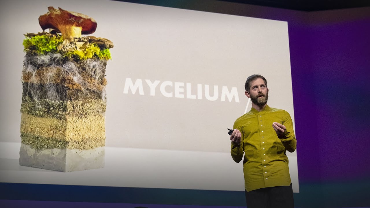 The Future of Fashion – Made from Mushrooms | Dan Widmaier | TED