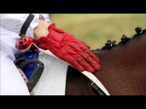 Pozvánka na dostihový den ve Světlé Hoře 2018