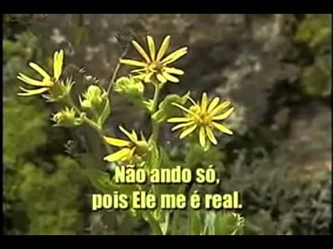 Não Ando Só, Hinario Adventista Nº  382