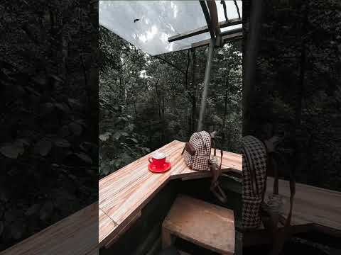 CERITA SUKSES KULIAH KE AMERIKA. Bab bagian "HANI" dari buku Chicken Soup for the College Soul.