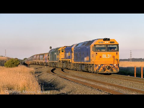 7735V Pacific National Grain Train With BL31 X50 G520 (26/5/2024) - PoathTV Australian Railways