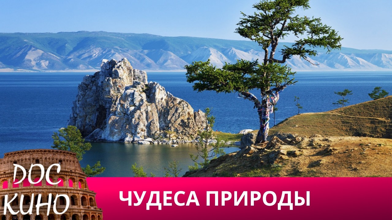 🎭ЧУДЕСА ПРИРОДЫ🌎 ДОКУМЕНТАЛЬНОЕ КИНО 🎆 2024