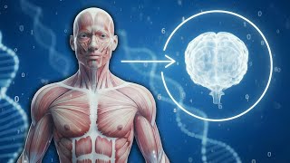 ACTIVE EL 100% DE SU CEREBRO 💯 Música para estudiar, concentrarse y memorizar rápido