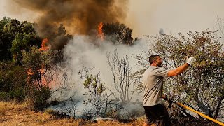 İspanya'da yangınlar binlerce hektarlık alanı yok etti
