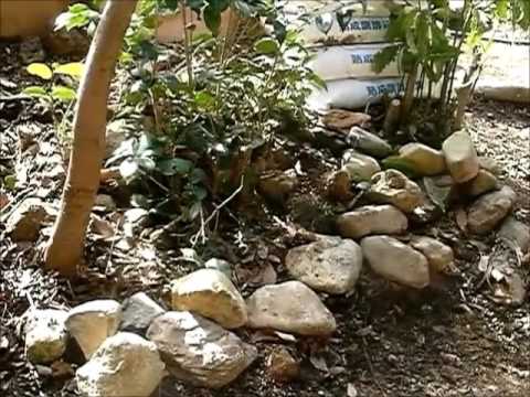 菜園の　畑の拡張　開墾と 石積み　07　17-0222