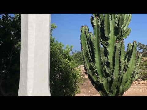 image : Le jardin du château de Montravel (Ehpad) en Dordogne