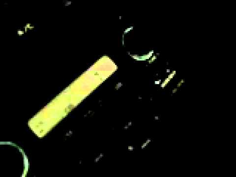 Biters - Rock N' Roll Loser # 7 ( the Rarity)  In the car in Baltimore