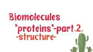 Biomolecules: protein structure (part 2)
