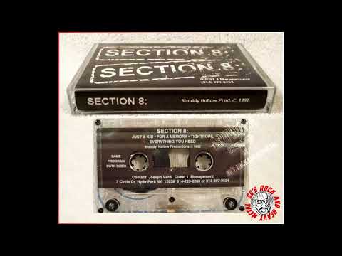 Section 8: - 02 -  For A Memory (Demo)