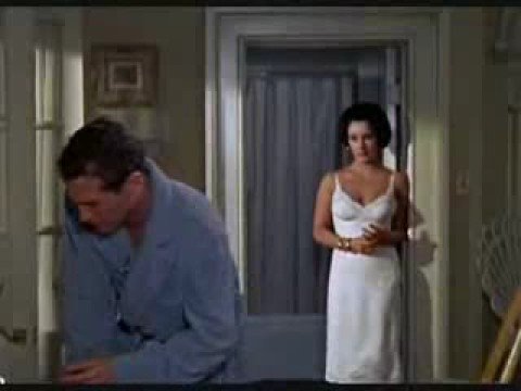 cat on a  hot tin roof