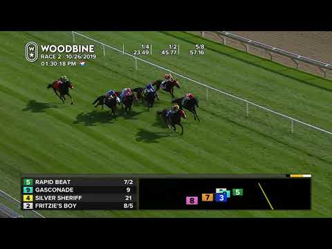 Woodbine: October 26, 2019 - Race 2