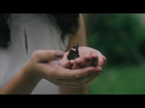 Go peaceful, in gentleness