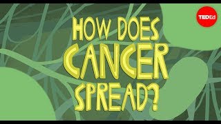How does cancer spread through the body? - Ivan Seah Yu Jun