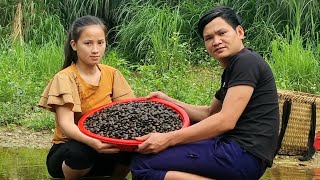 The couple worked together to harvest giant oysters and bring them to the market to sell