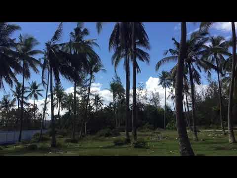 Alfatih liburan ke pantai Bakau