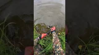 Water monster crawled out of the water during treasure hunting video