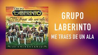 Grupo Laberinto- Me Traes De Un Ala- [Audio Oficial]